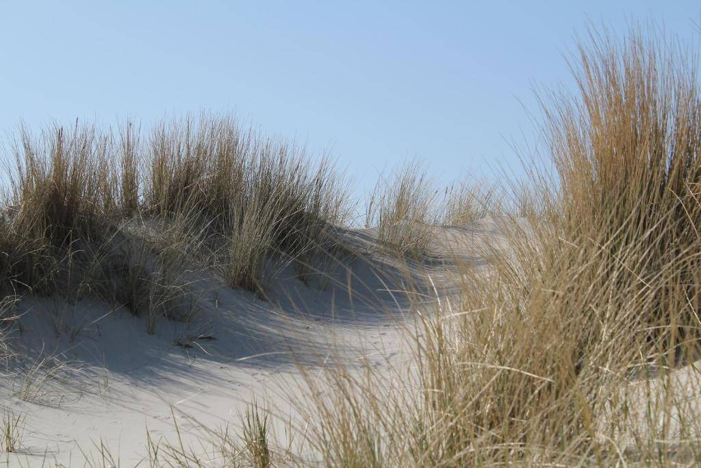 Alte Post Langeoog Vermietung